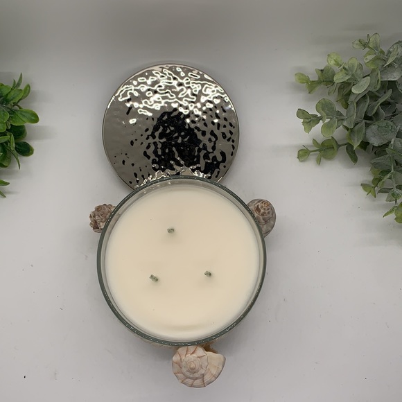 Hand made by me 3 wick candle. 14 oz candle - Picture 2 of 2